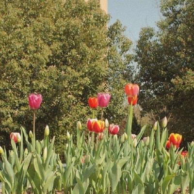 mg娱乐电子游戏网站