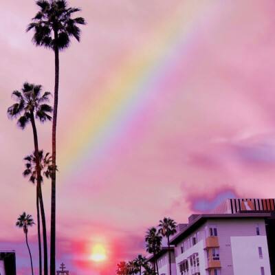 竞彩篮球app下载