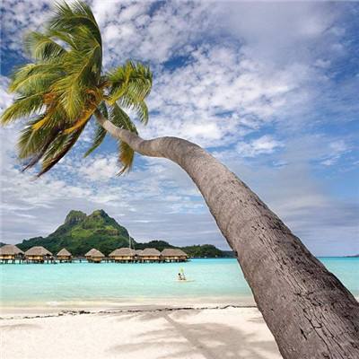 台湾福星彩手机app下载